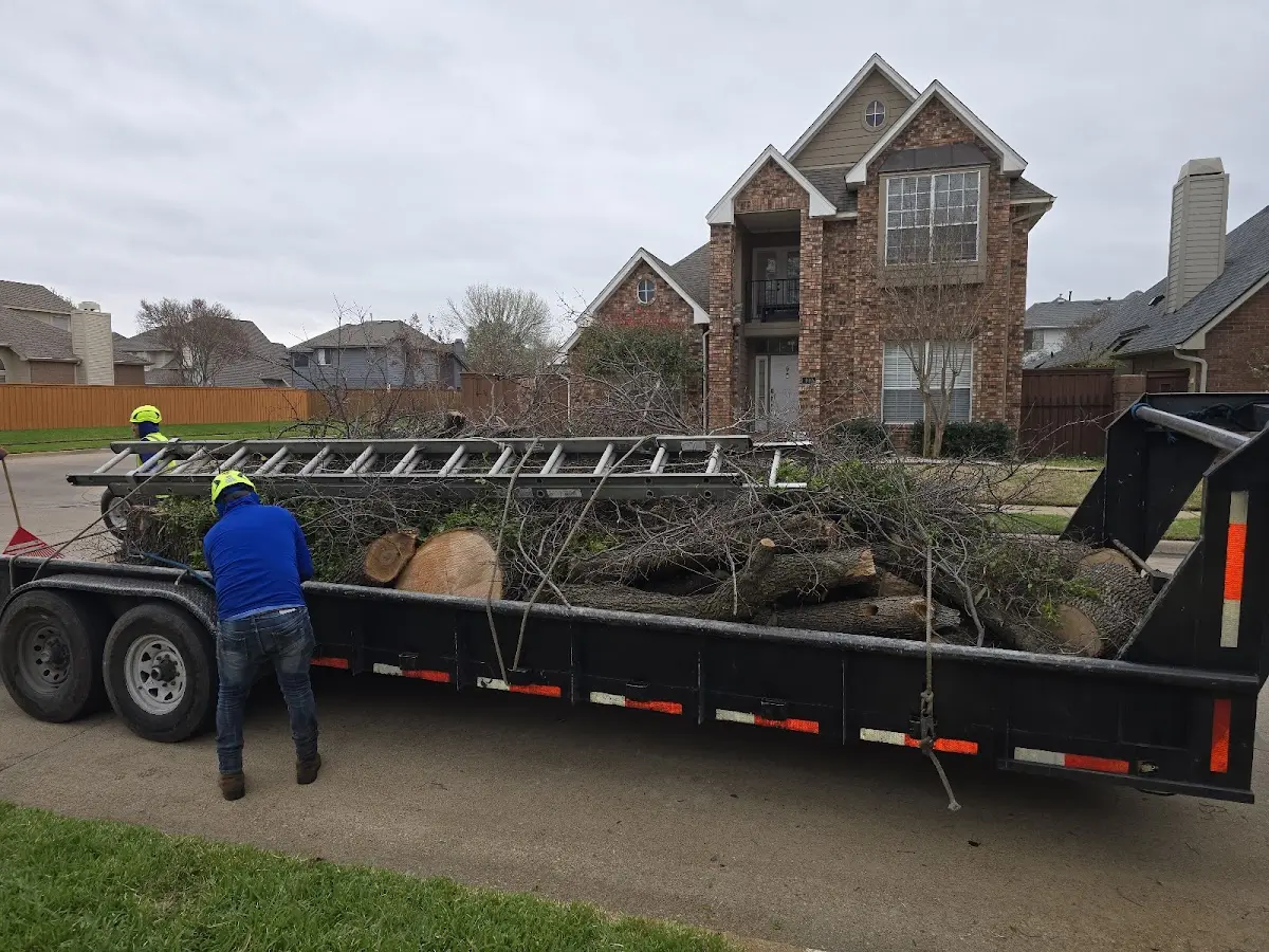 Expert Lot Clearing with proper safety equipment in Freer